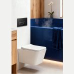 Wall Mounted Toilet - Full Flush Flushing - A062 - Image 2