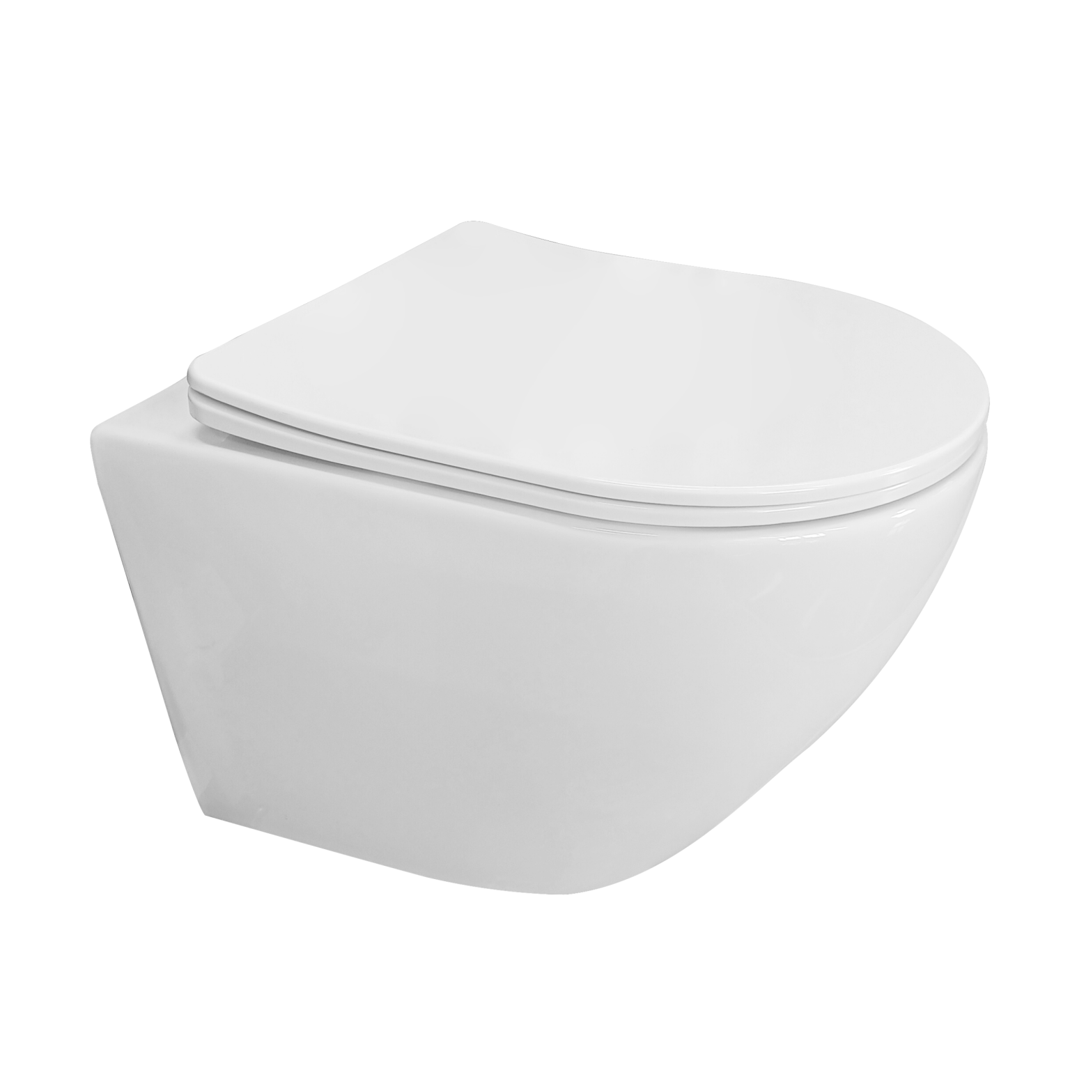 Wall Mounted Toilet - Rotary Flushing - A069